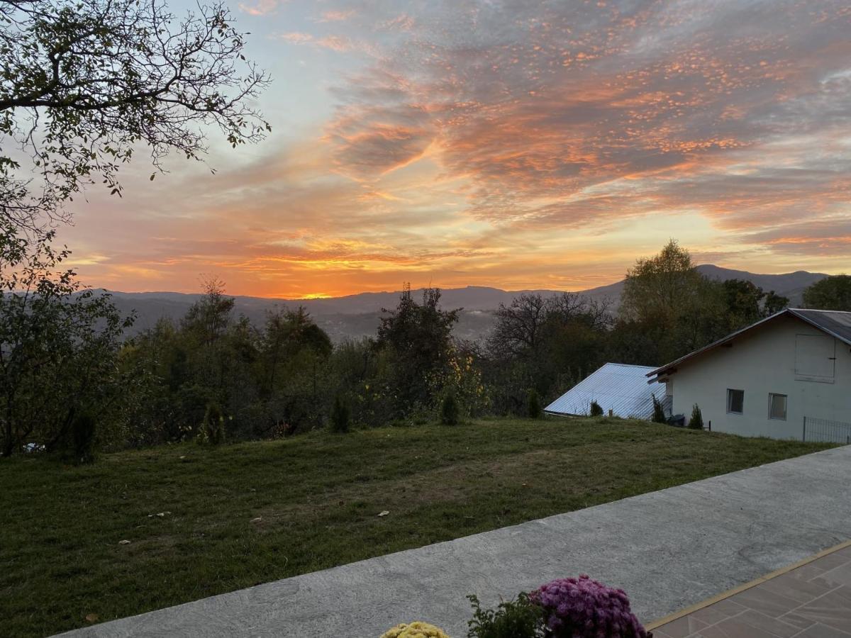 Pensiunea Piri Land Comarnic Dış mekan fotoğraf